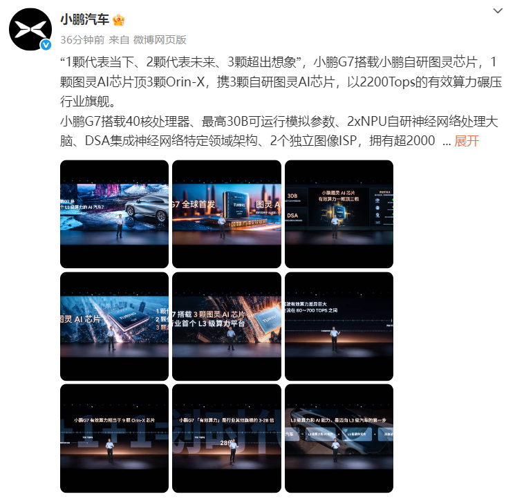 金桔网