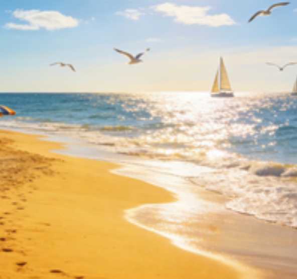 飞猪：春节假期节中出游预订量增长超三成